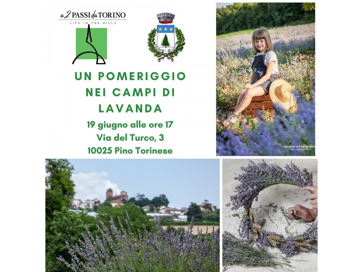 Un pomeriggio nei campi di Lavanda